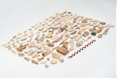 Foto von Leichenbrand (NHMW-PRAE-002231a)